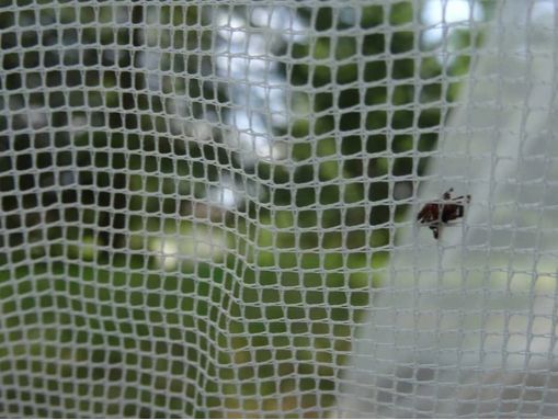 Сетка москитная с подставкой и держателем mosquito_net фото
