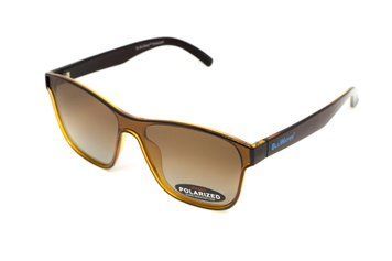 Окуляри поляризаційні BluWater Saltee Polarized (gradient brown), коричневі з градієнтом лінзи в коричневій напівпрозорій оправі UAB-BW-SALT-BRN2 фото