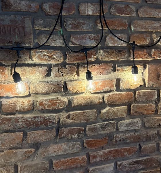 Гірлянда LED вулична в стилі ретро 10 ламп 10м garden_led_lights фото