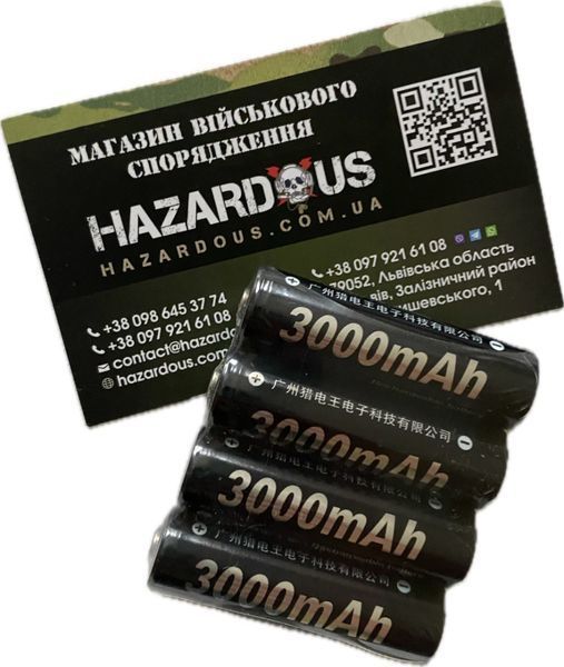 Аккумулятор Palo Ni-MH AA 3000 мАч APAA-3000mAh-NI-MH фото